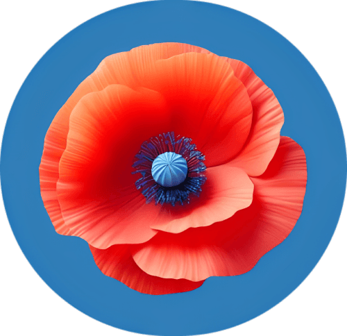 Logo Coquelicot