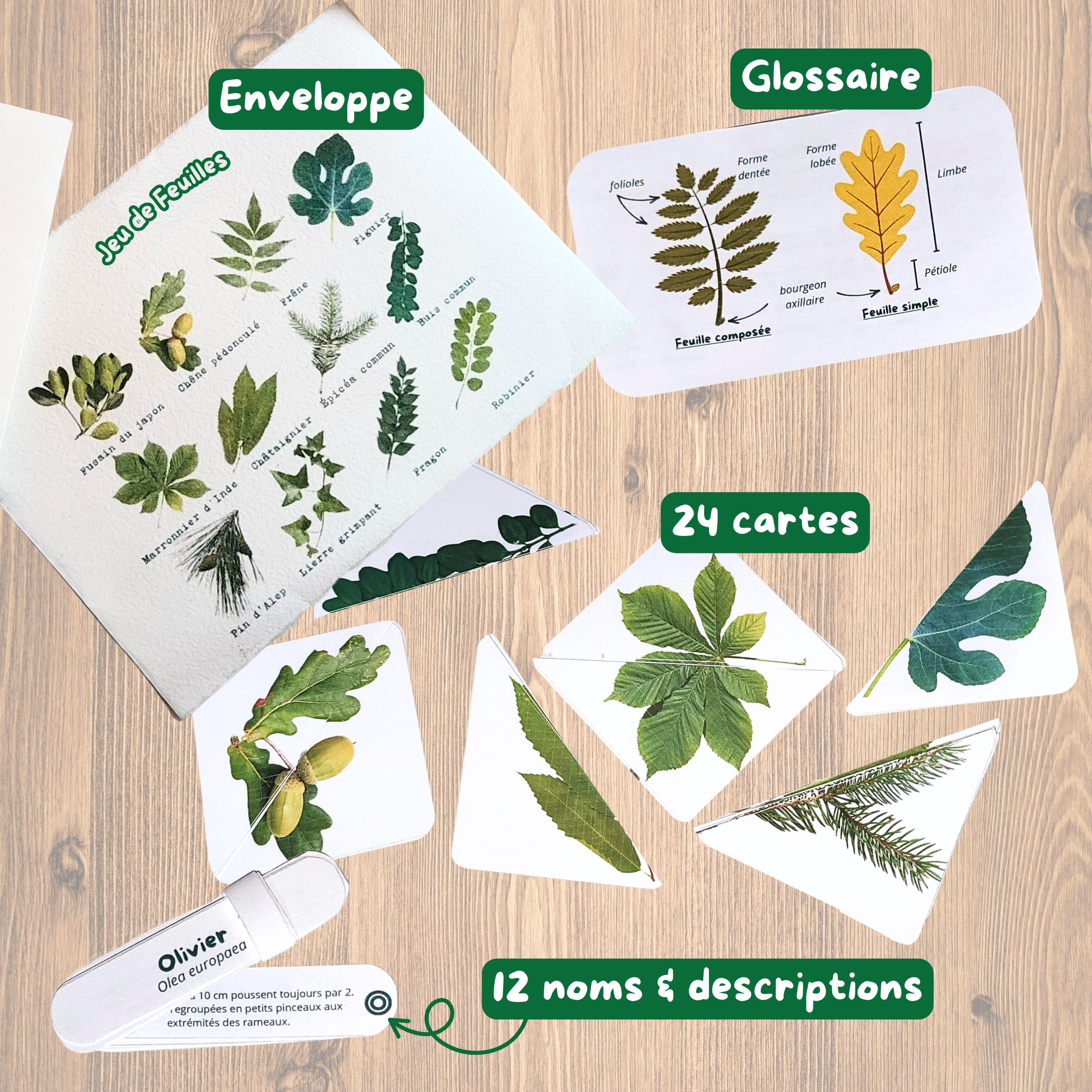 Mémos intelligents - Jeux de 🍃 & de 🪻