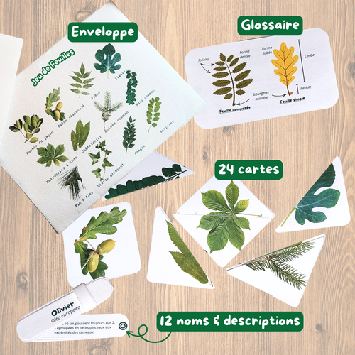 Mémos intelligents - Jeux de 🍃 & de 🪻