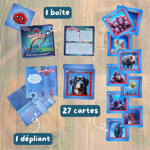 monA'DN - la frise du vivant -