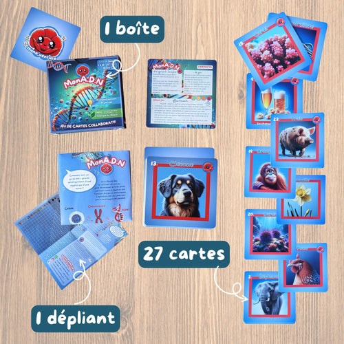 monA'DN - la frise du vivant -